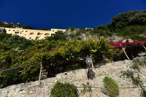 Amalfi